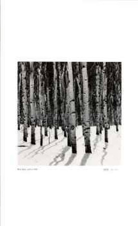 Untitled (Birch Trees) by Morry Katz Pricing Limited Edition Print image