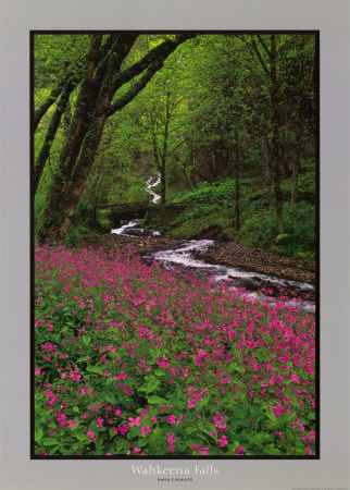 Wahkeena Falls by David Schultz Pricing Limited Edition Print image