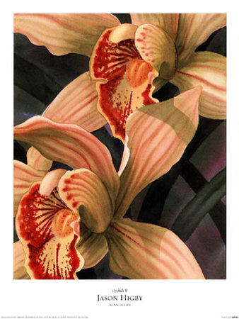 Orchids Ii by Jason Higby Pricing Limited Edition Print image