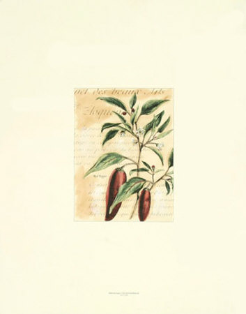 Red Pepper by Walter H. Fitch Pricing Limited Edition Print image