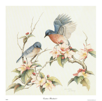 Eastern Bluebird Iii by Jean Cassady Pricing Limited Edition Print image