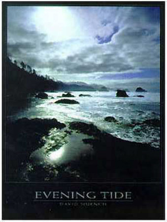 Evening Tide by David Muench Pricing Limited Edition Print image