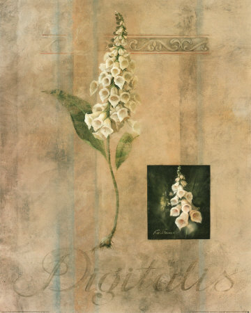 Digitalis by Fabrice De Villeneuve Pricing Limited Edition Print image