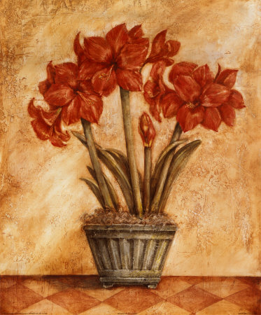 Red Amaryllis by Tina Chaden Pricing Limited Edition Print image