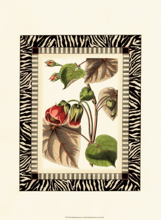 Zebra Bordered Botanical I by Charles Francois Sellier Pricing Limited Edition Print image