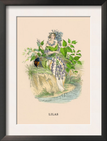 Lilas by J.J. Grandville Pricing Limited Edition Print image