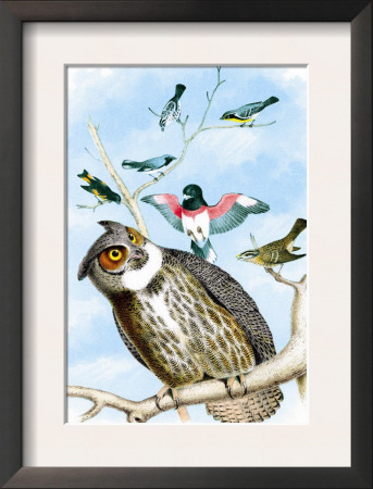 The Great Horned Owl by Theodore Jasper Pricing Limited Edition Print image