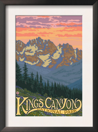 Kings Canyon Nat'l Park - Spring Flowers - Lp Poster, C.2009 by Lantern Press Pricing Limited Edition Print image