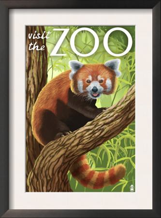 Visit The Zoo - Red Panda, C.2009 by Lantern Press Pricing Limited Edition Print image