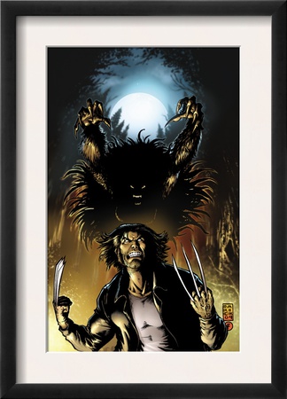 Wolverine #14 Cover: Wolverine by Darick Robertson Pricing Limited Edition Print image