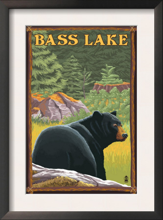 Bass Lake, California - Bear In Forest, C.2008 by Lantern Press Pricing Limited Edition Print image