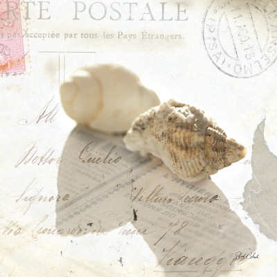 Postal Shells I by Deborah Schenck Pricing Limited Edition Print image
