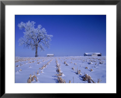 Snow Covered Farm And Landscape, Lamont, Ia by Stephen Gassman Pricing Limited Edition Print image