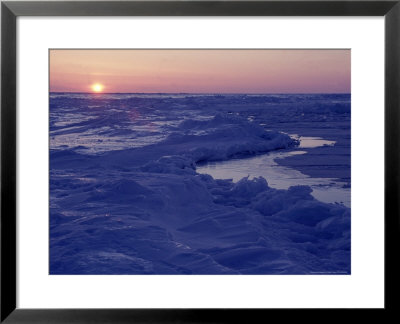 Sunset At Floe Edge, Late Winter by Yvette Cardozo Pricing Limited Edition Print image