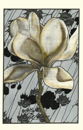 Patterned Magnolia I by Jennifer Goldberger Pricing Limited Edition Print image