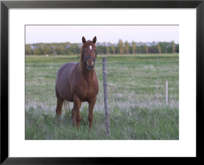 Gimli, Rural Area by Keith Levit Pricing Limited Edition Print image