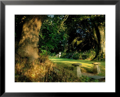 Steps Leading Up To Saddle Stones And Across Lawn To Urn, At St. Martins Manor, Cornwall by Mark Bolton Pricing Limited Edition Print image