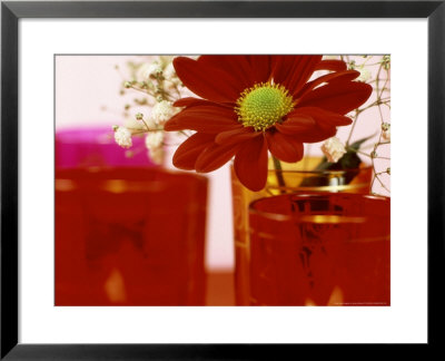 Single Red Crysanthemum In Glass Vase Surrounded By Ornamental Tea Lights by James Guilliam Pricing Limited Edition Print image