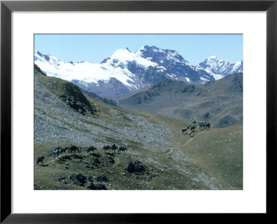 Pony Pack Train In Cordillera Villa Bamba, Peru by Michael Brown Pricing Limited Edition Print image