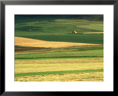 Farmland, Scotland by Iain Sarjeant Pricing Limited Edition Print image