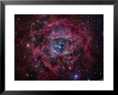 The Rosette Nebula by Stocktrek Images Pricing Limited Edition Print image