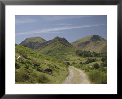 Newlands Valley, Lake District, Cumbria, England, United Kingdom by James Emmerson Pricing Limited Edition Print image