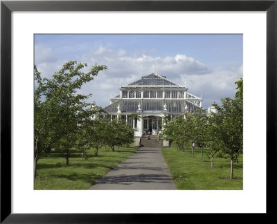 Temperate House Conservatory, Kew Gardens, Unesco World Heritage Site, London, England by David Hughes Pricing Limited Edition Print image