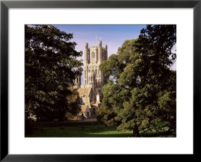 Ely Cathedral, Ely, Cambridgeshire, England, United Kingdom by Lee Frost Pricing Limited Edition Print image