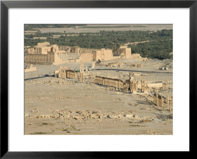 Hill Top View, Archaelogical Ruins, Palmyra, Unesco World Heritage Site, Syria, Middle East by Christian Kober Pricing Limited Edition Print image