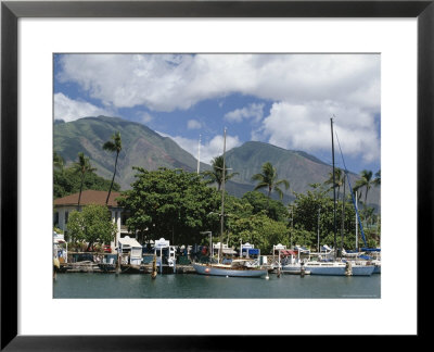 Sailing Boats In The Harbour Of Lahaina, An Old Whaling Station, West Coast, Hawaii by Tony Waltham Pricing Limited Edition Print image