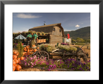 Log Barn And Fruit Stand In Autumn, British Columbia, Canada by Walter Bibikow Pricing Limited Edition Print image