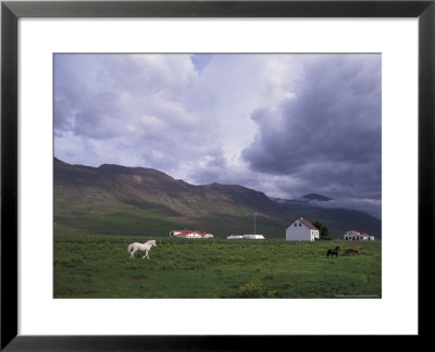 Horse Farm With Mountains In Background, Vatnasdalsholar Hills, North West Islands, Iceland by Bill Bachmann Pricing Limited Edition Print image