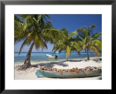 Belize, Laughing Bird Caye, Canoe Filled With Coconut Husks On Beach by Jane Sweeney Pricing Limited Edition Print image