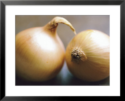 Studio Shot Of Two Onions by Lee Frost Pricing Limited Edition Print image