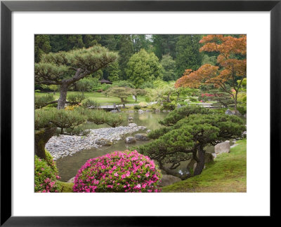 Flowers In Bloom, Japanese Garden, Washington Park Arboretum, Seattle, Washington, Usa by Jamie & Judy Wild Pricing Limited Edition Print image