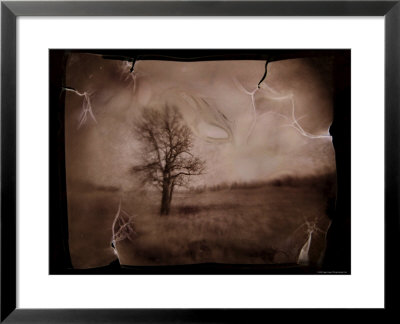 Hanging Tree by Jack Germsheld Pricing Limited Edition Print image