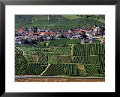 St-Euphraise-Et-Clairizet, Champagne, France by Doug Pearson Pricing Limited Edition Print image