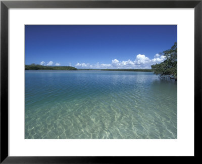 Lovers Key Sra, Ft. Myers Beach, Florida by Maresa Pryor Pricing Limited Edition Print image