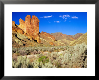 Dirt Trail Through Sagebrush And Tall Redstone Cliffs, Owyhee Area, Oregon, Usa by Janis Miglavs Pricing Limited Edition Print image