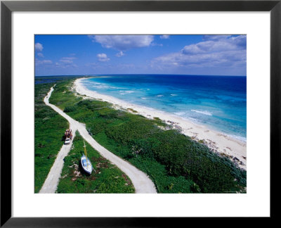 Coastline Of Punta Sur Park, Isla Cozumel, Quitana Roo, Mexico by Richard Cummins Pricing Limited Edition Print image