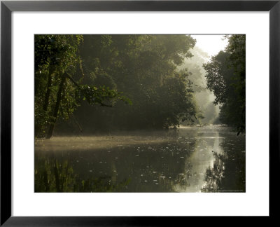 View Of The Menangul River And Rain Forest In The Early Morning by Tim Laman Pricing Limited Edition Print image