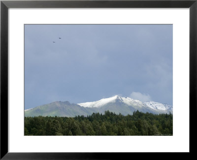 Two Eagles Soaring Over The Snow Covered Chugach Mountains by Rich Reid Pricing Limited Edition Print image