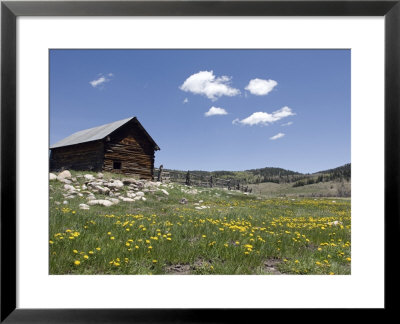 Log Cabin On The High Country Ranch On The Continental Divide, Tres Piedras, New Mexico by Rich Reid Pricing Limited Edition Print image