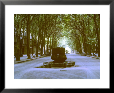 Plane Trees Shade Wide Boulevard Of Cours Mirabeau In Aix En Provence by Gjon Mili Pricing Limited Edition Print image
