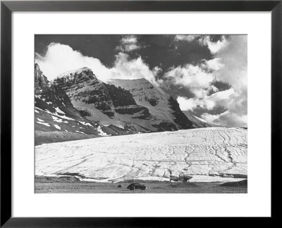 Glaciers And Icefields Seen Along Columbia Icefield Highway Between Banff And Jasper by Andreas Feininger Pricing Limited Edition Print image