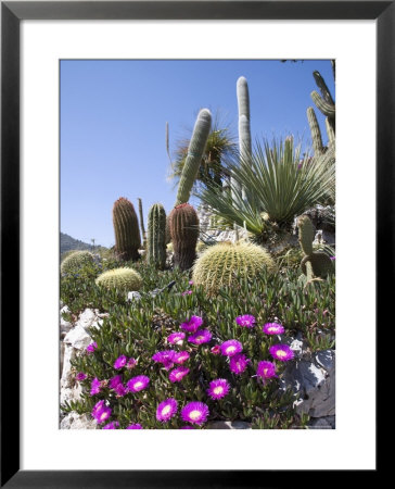 The Tropical Garden, Eze, Alpes Maritimes, Provence, Cote D'azur, French Riviera, France by Angelo Cavalli Pricing Limited Edition Print image