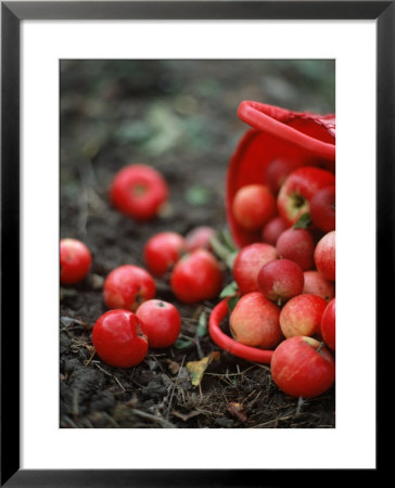 Red Apples Falling Out Of A Red Basket by Per Ranung Pricing Limited Edition Print image