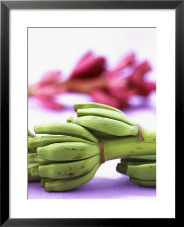 Bunch Of Young Bananas by Armin Zogbaum Pricing Limited Edition Print image