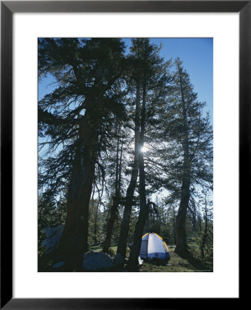 Camping Near John Muir Trail, Yosemite Natinoal Park by Phil Schermeister Pricing Limited Edition Print image