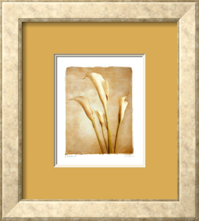 Poetica Ii by Amy Melious Pricing Limited Edition Print image